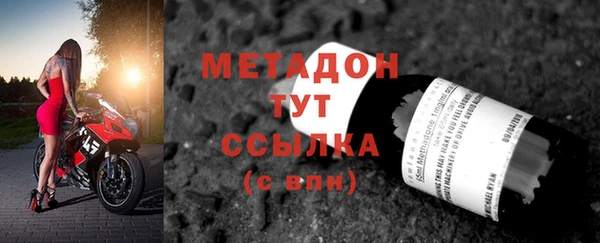 прущие грибы Белокуриха