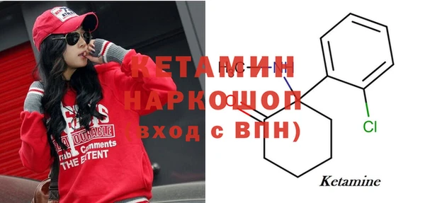 прущие грибы Белокуриха