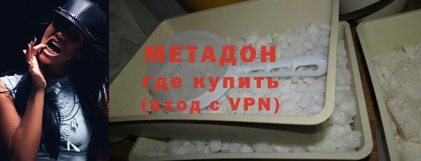 прущие грибы Белокуриха