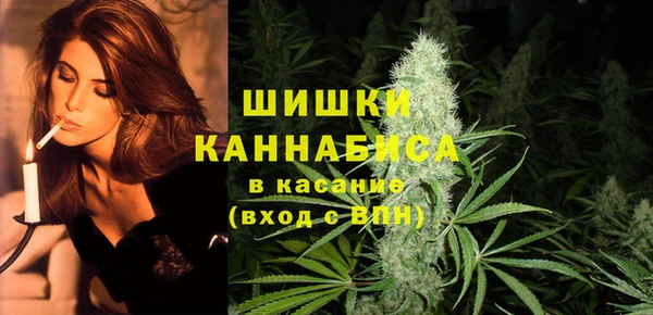 прущие грибы Белокуриха