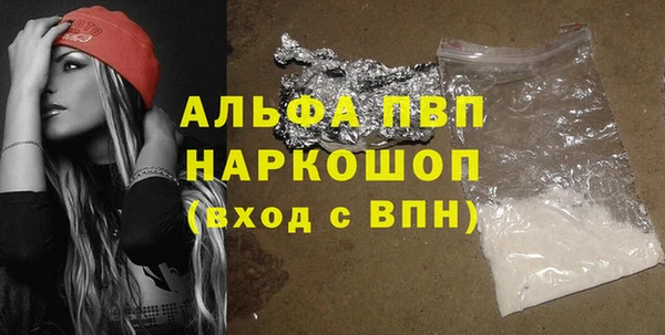 прущие грибы Белокуриха