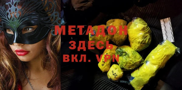 прущие грибы Белокуриха