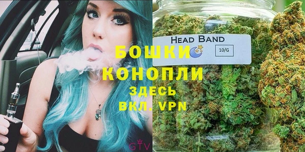 прущие грибы Белокуриха